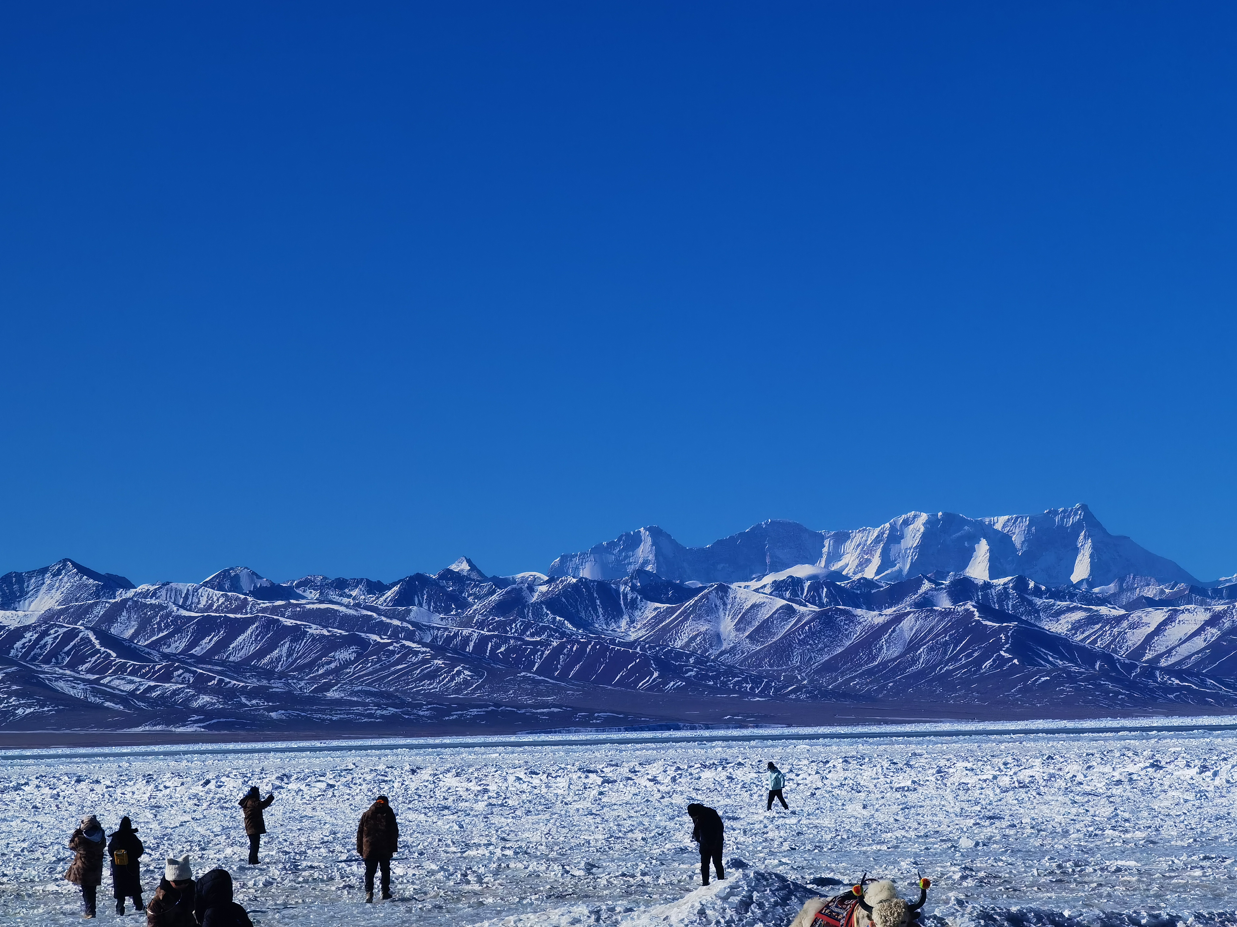 西藏 2026.02.09-02.23